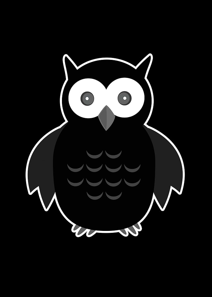 The Black White Owl