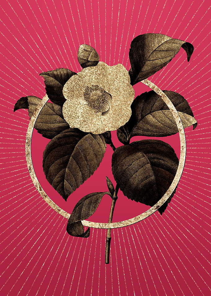 Gold Japanese Camelia