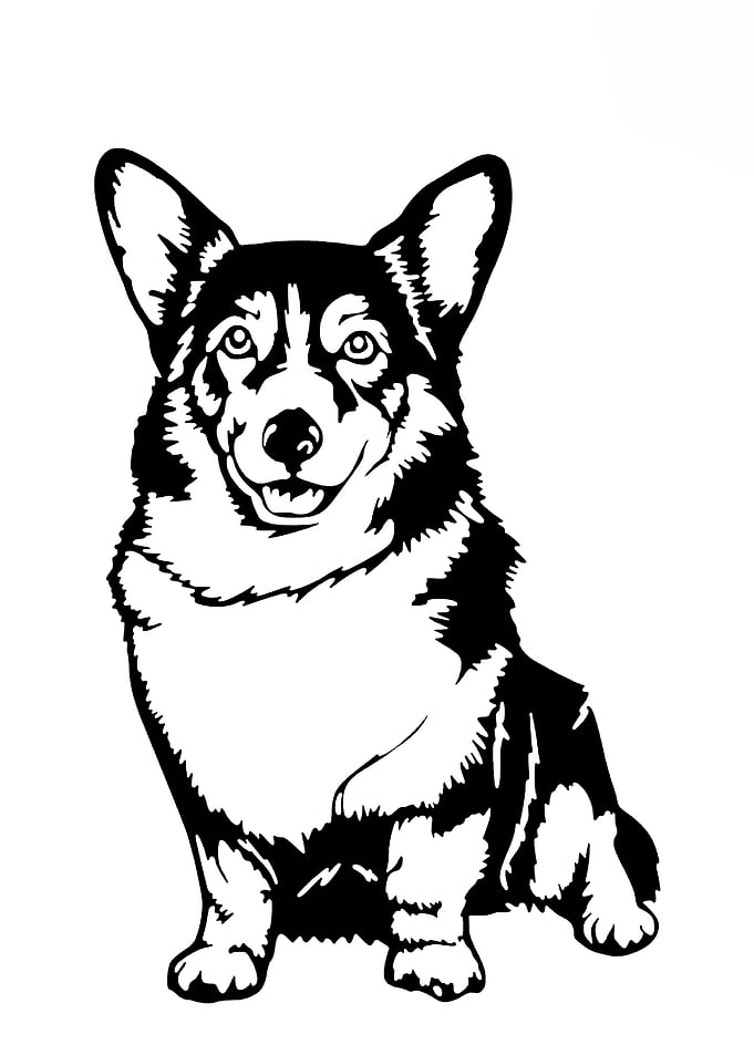 dogs