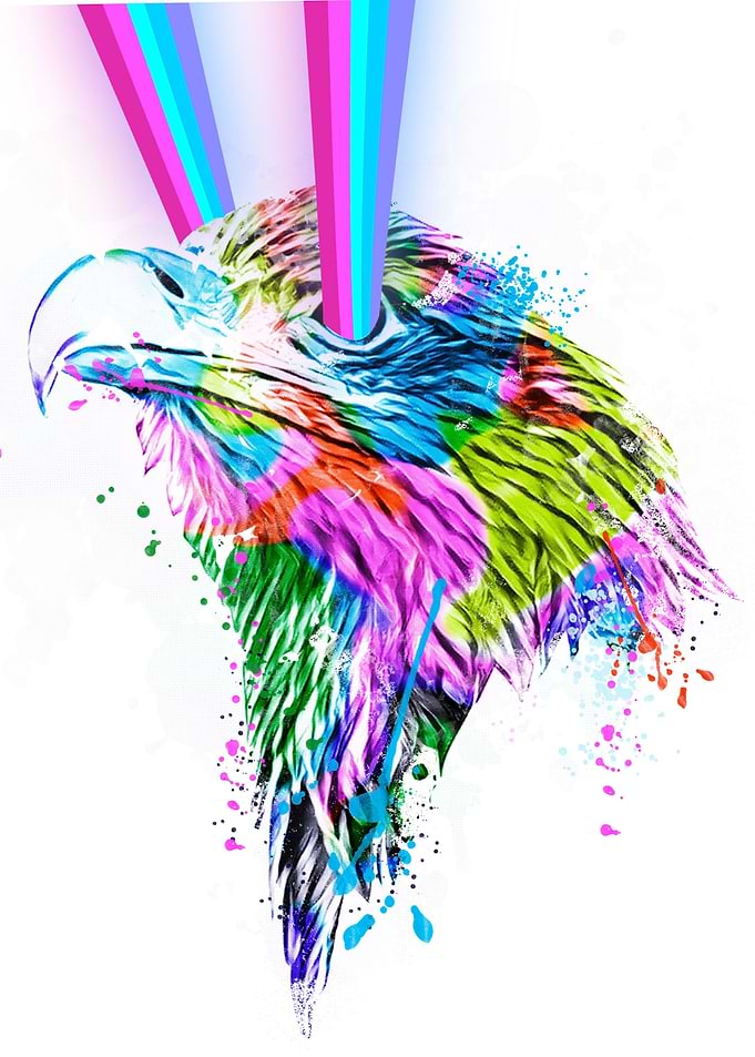 The Falcon Psychedelic