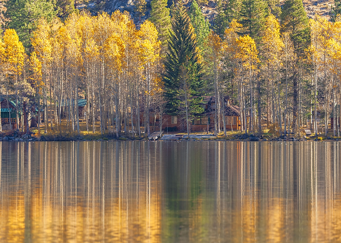 Fall