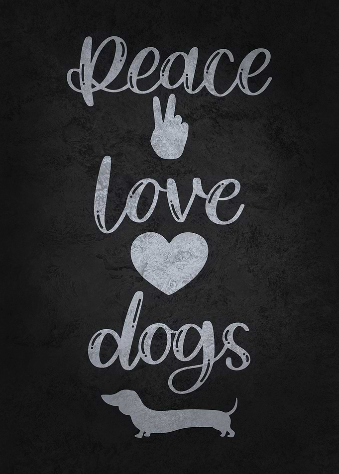 Peace Love Dogs