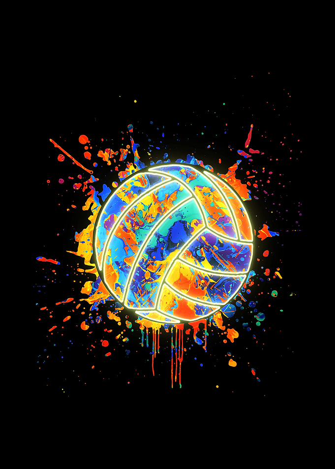 Volleyball Ball