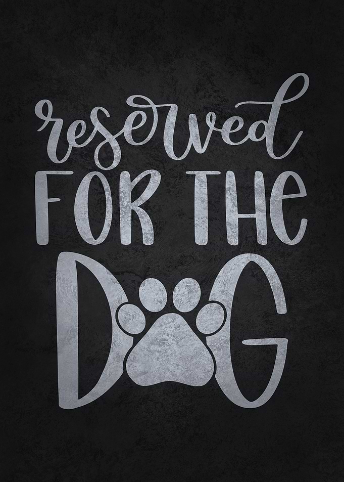 Reserved For The Dog