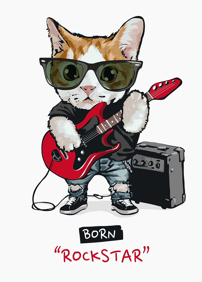 Cute cat rock star