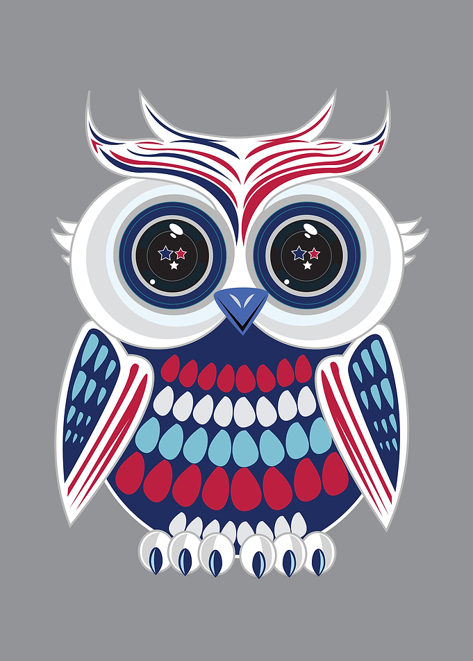 Patriotic Owl