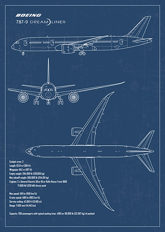 Boeing 787 Dreamliner Jet