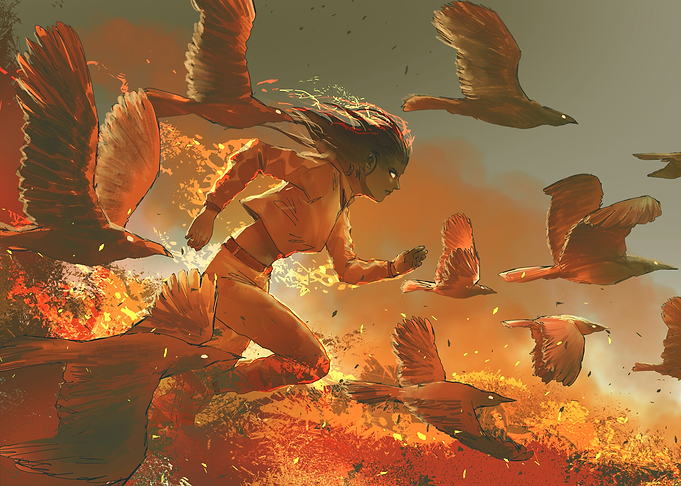 the fire birds