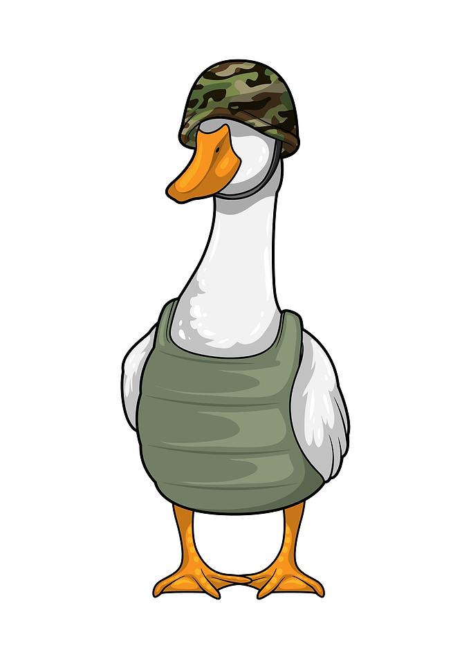 Duck Soldier Helmet
