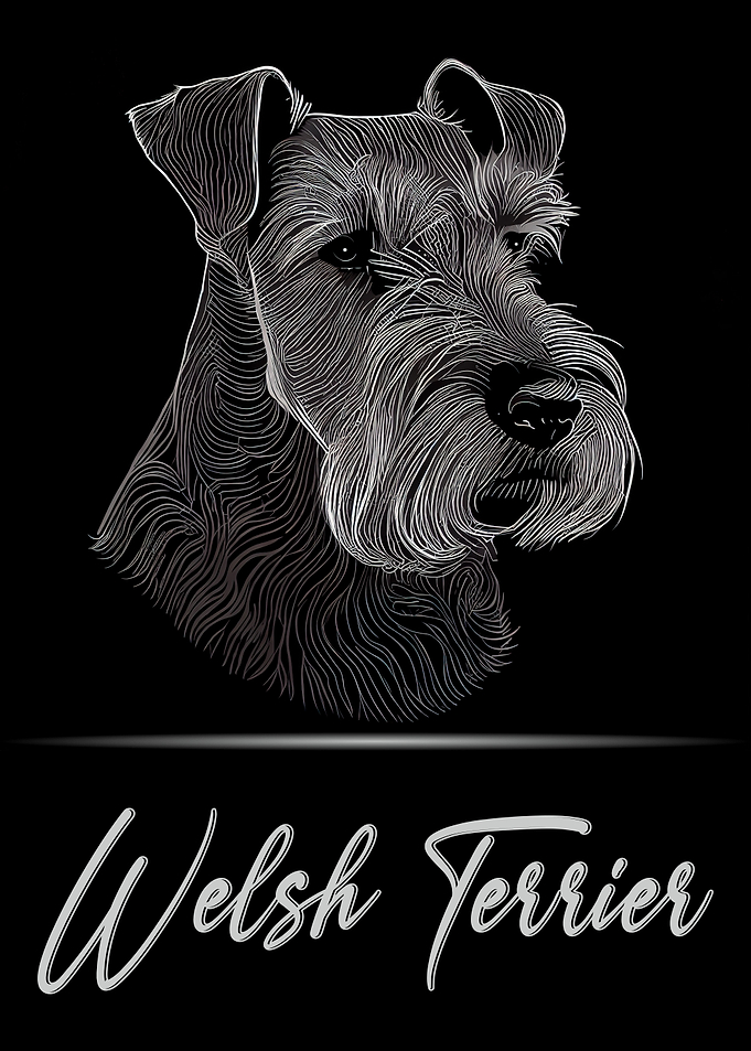Welsh Terrier