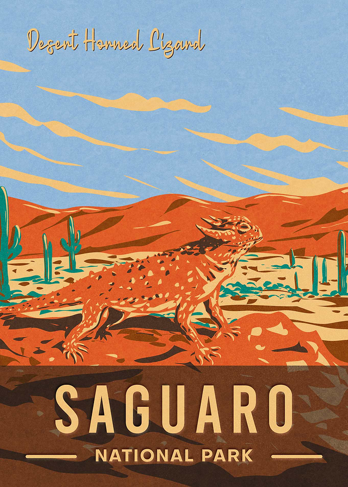 Saguaro National Park