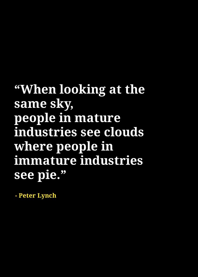 Peter Lynch quotes