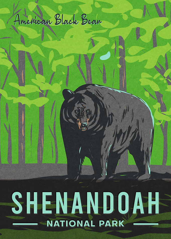 Shenandoah National Park