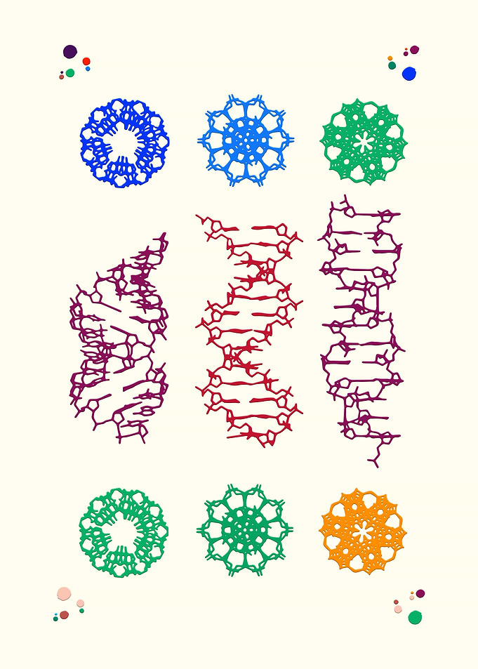 DNA Science