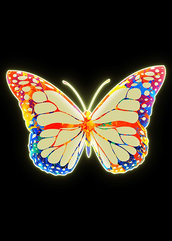 Butterfly neon
