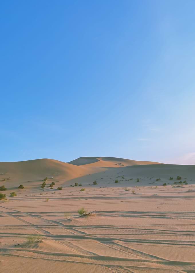 great desert
