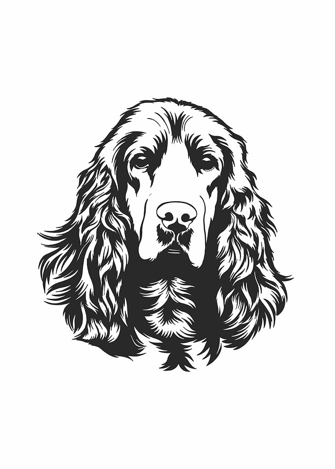 dogs