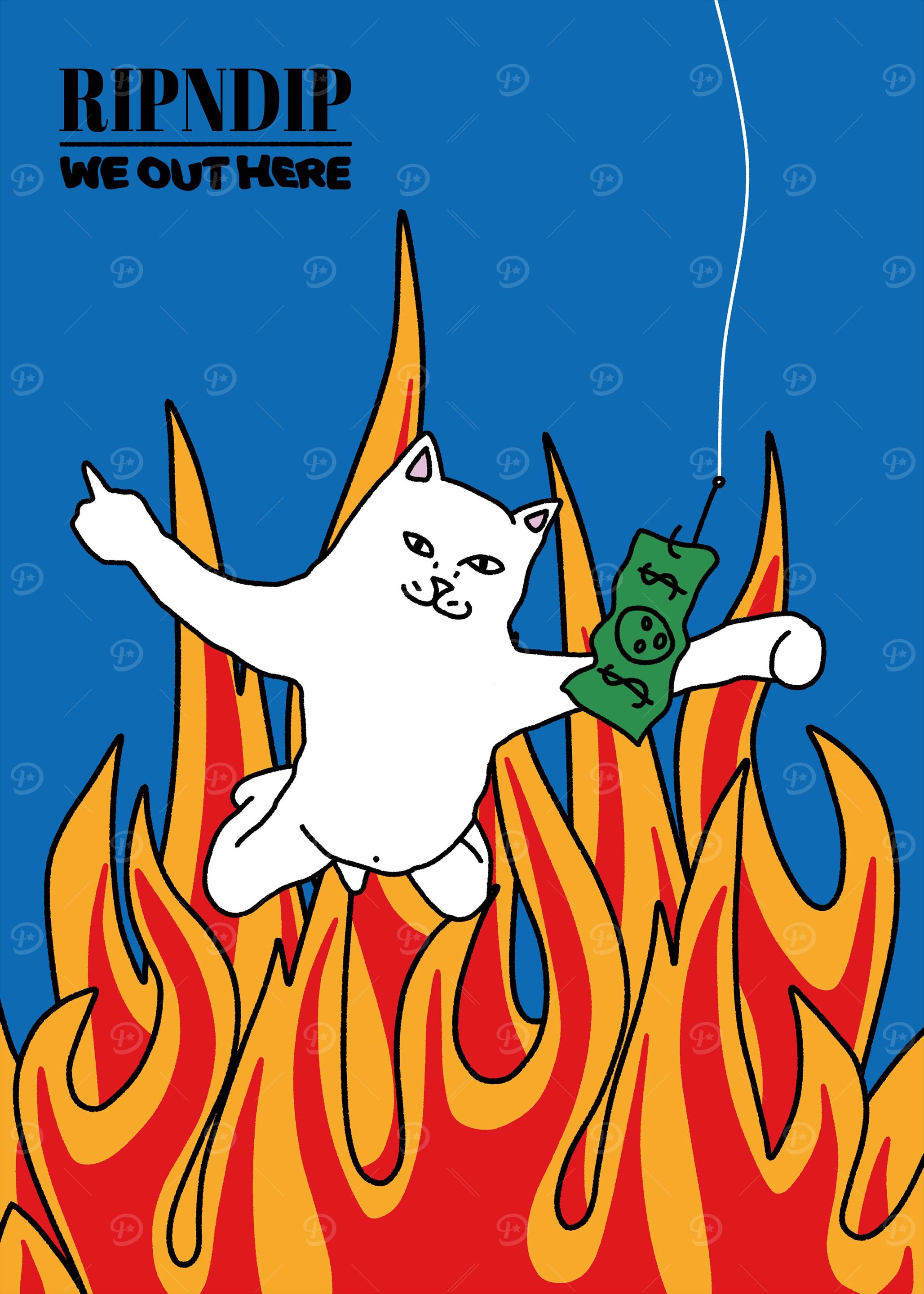 hypecat fire