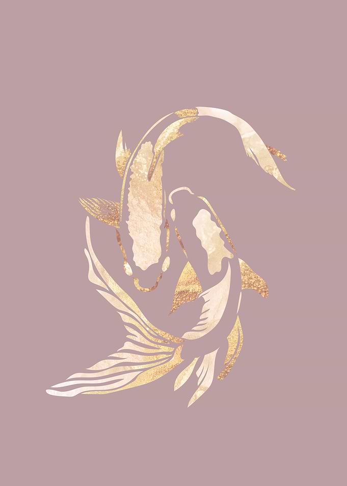 Pink Gold Koi Fish 2