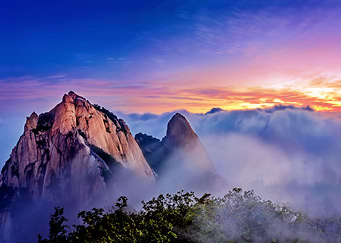 Natures
