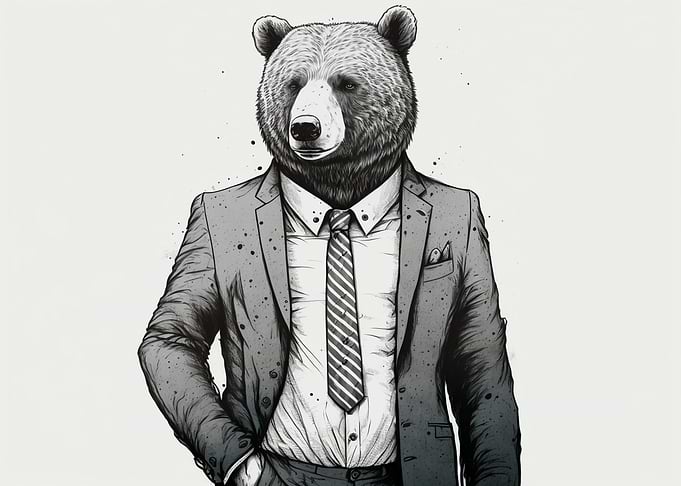 Fashion Bear