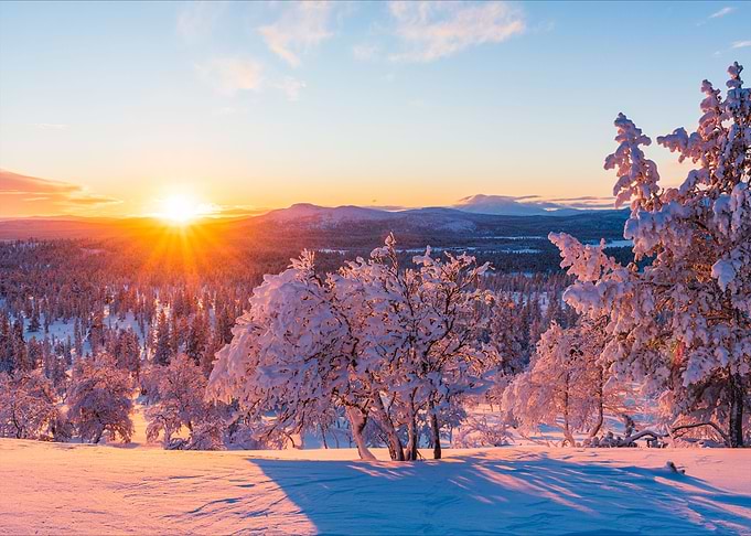 Natures