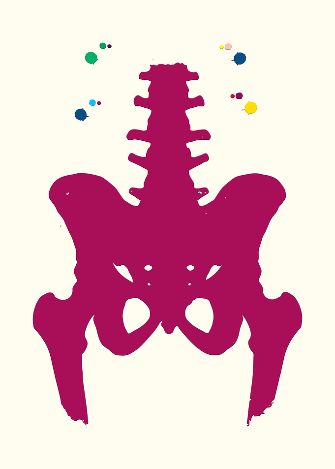 Human Hip