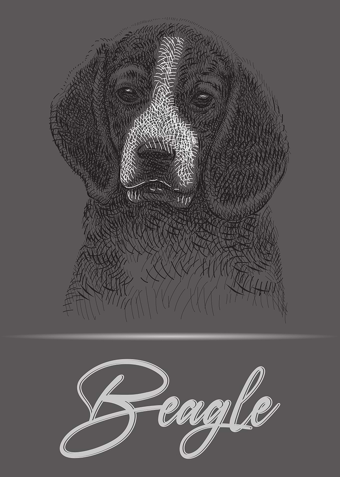 Adorable Beagle