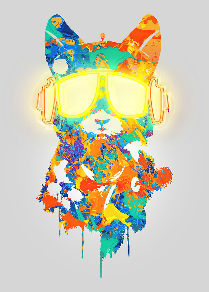 Hip hop dj cool cat