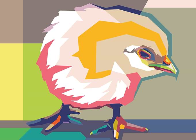 Chicks Popart