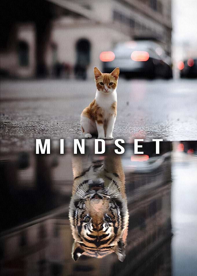 Mindset