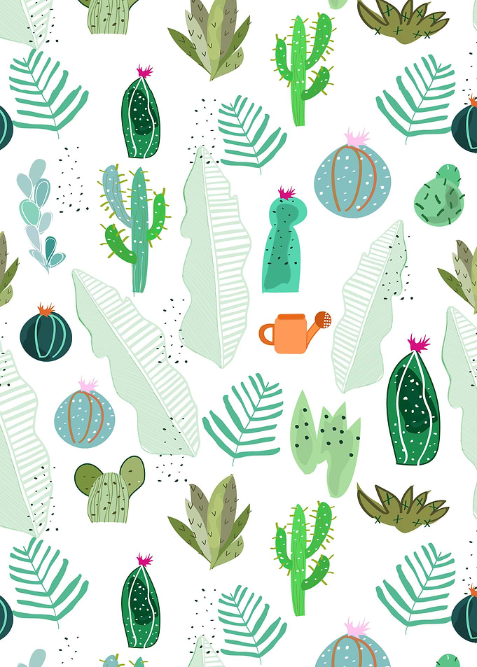Cactus abd flowers