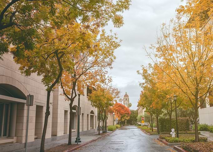 Stanford in Autumn