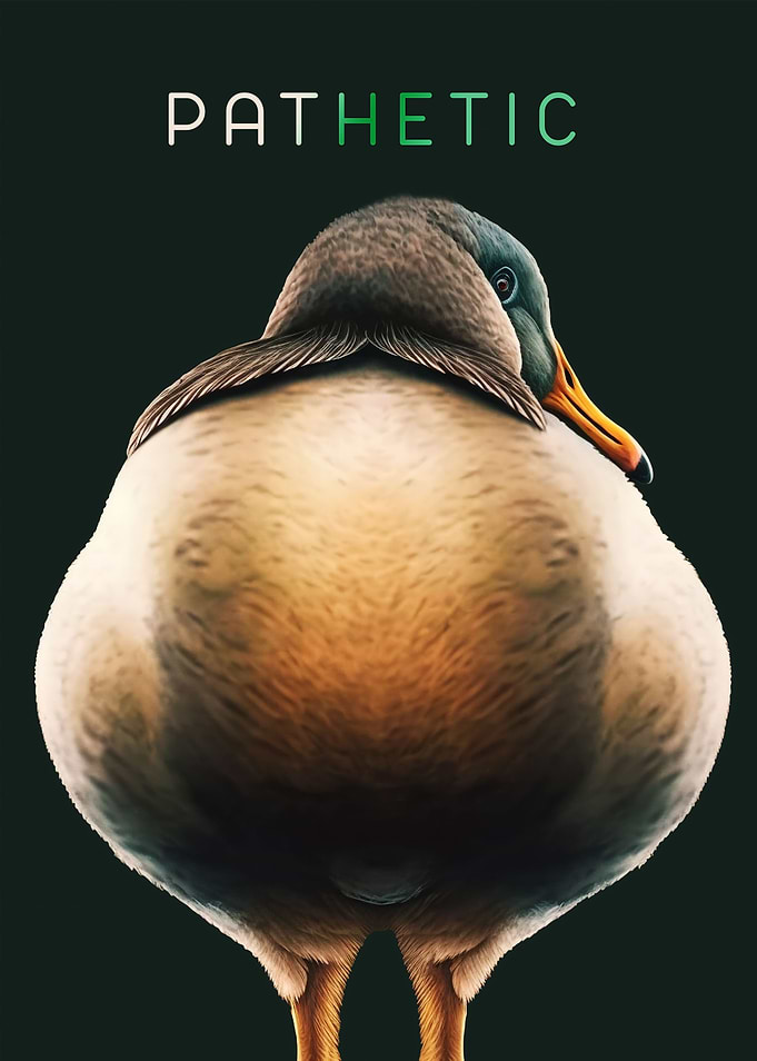 Judgmental Duck New