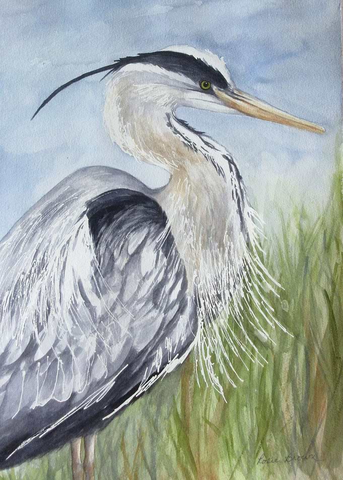 Blue Heron Watercolor