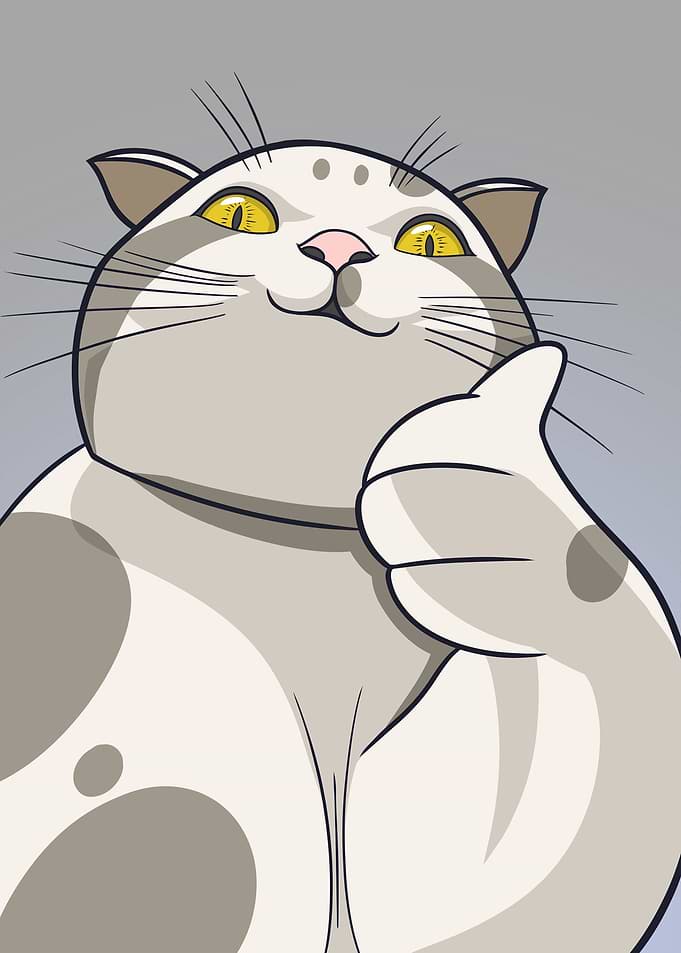Cat Ok Minimalist