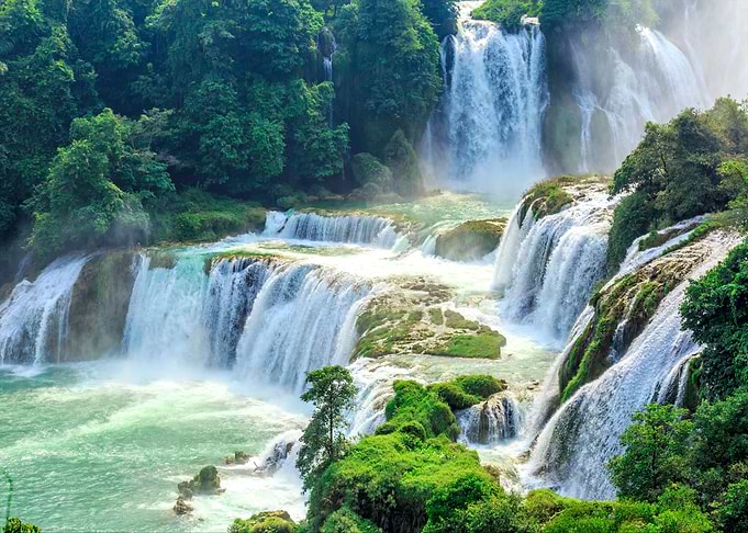 Natures