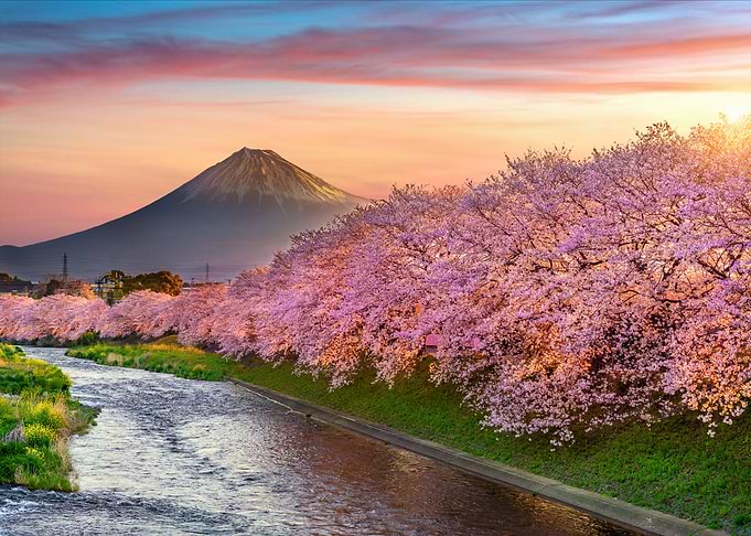 Natures