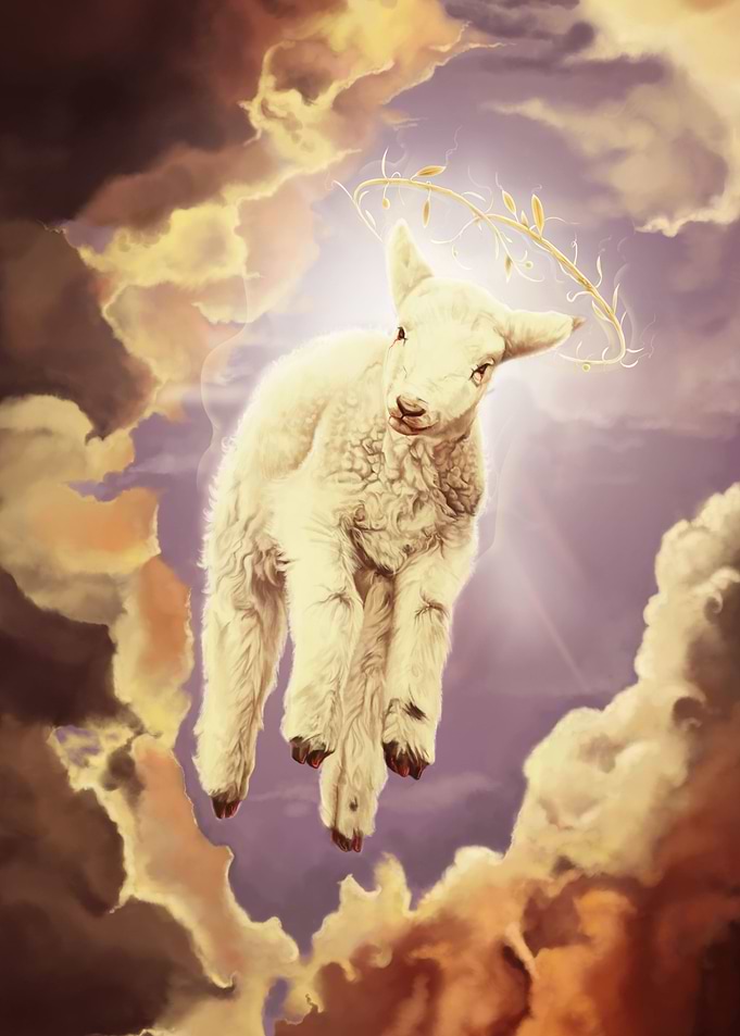 Holy Lamb