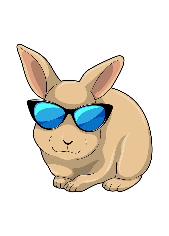 Rabbit Sunglasses