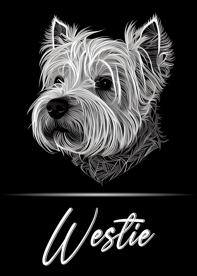 Westie