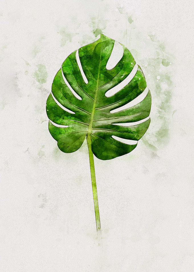 Watercolour Banana leaf