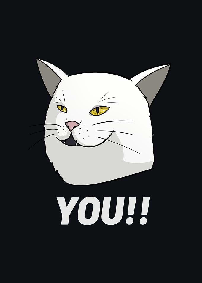 Cat You Meme Fun
