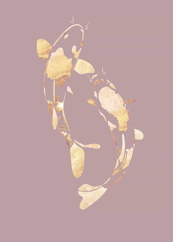 Pink gold koi fish 1
