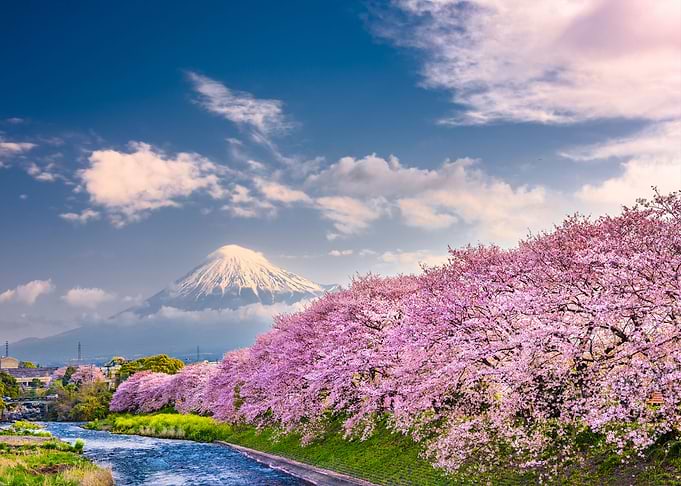Natures