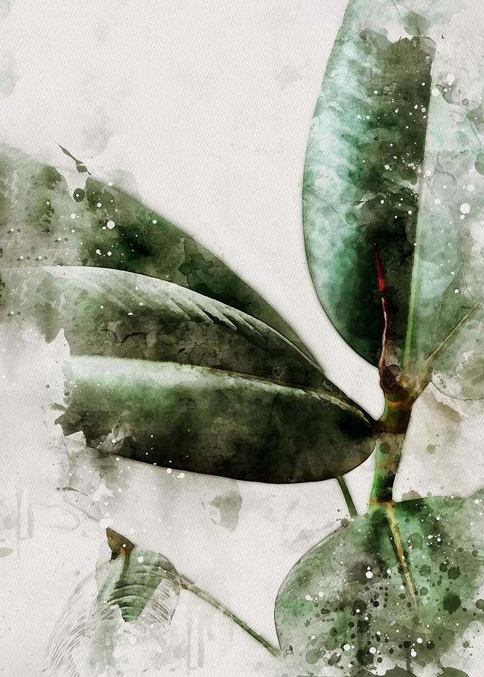 Watercolor Botanical