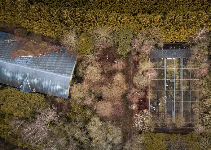 Abandoned zoo
