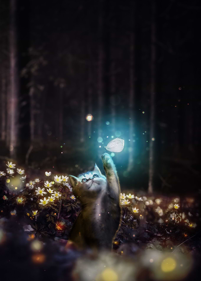 In Search of Hope