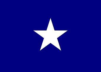 Bonnie Blue Flag