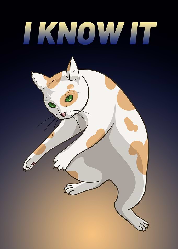 Cat : I know it